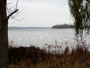 East Lake