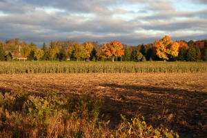 millennium bike trail