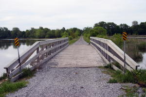 millennium bike trail