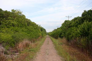 millennium bike trail