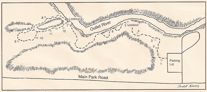Cedar Sands Trail map
