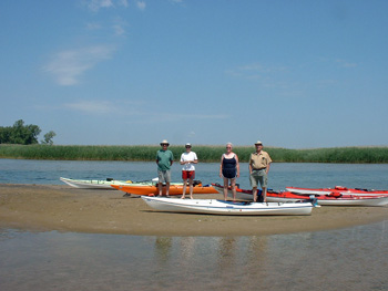 Kayakers. This shallow open channel is now completely sealed by invasive Phragmites grass. Photo by Terry Sprague