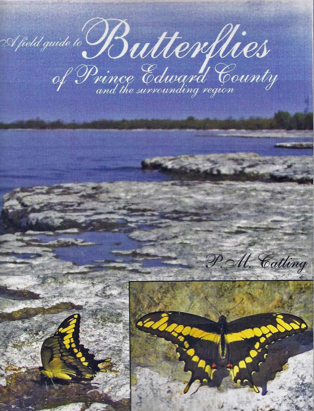 Books Butterflies Of P E County Nature Stuff